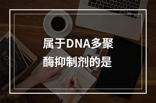 属于DNA多聚酶抑制剂的是