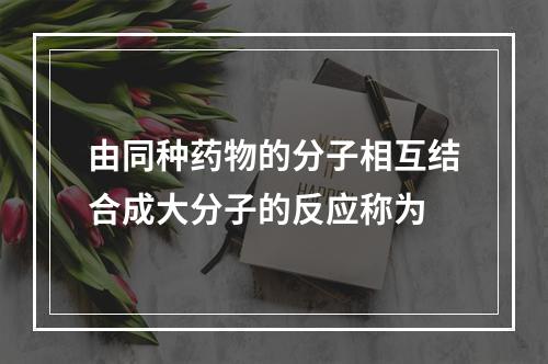 由同种药物的分子相互结合成大分子的反应称为