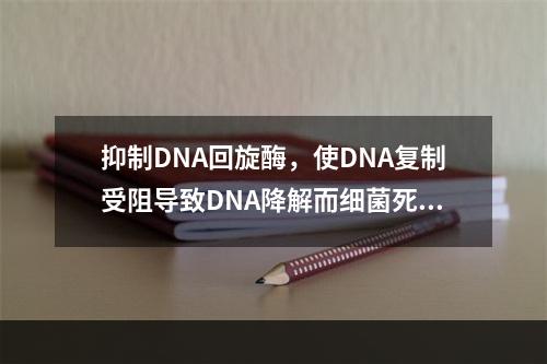 抑制DNA回旋酶，使DNA复制受阻导致DNA降解而细菌死亡的