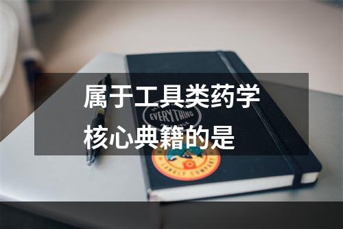 属于工具类药学核心典籍的是