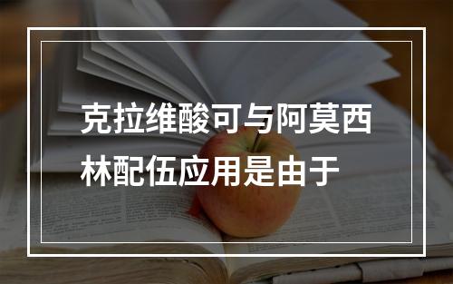 克拉维酸可与阿莫西林配伍应用是由于