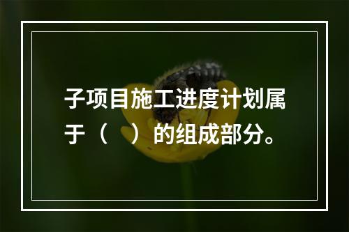 子项目施工进度计划属于（　）的组成部分。