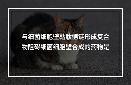 与细菌细胞壁黏肽侧链形成复合物阻碍细菌细胞壁合成的药物是