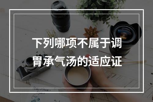 下列哪项不属于调胃承气汤的适应证