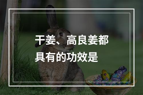 干姜、高良姜都具有的功效是