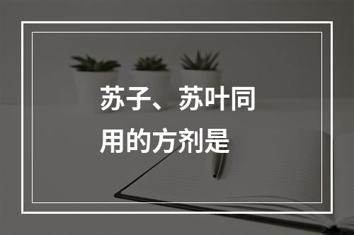 苏子、苏叶同用的方剂是