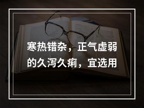 寒热错杂，正气虚弱的久泻久痢，宜选用