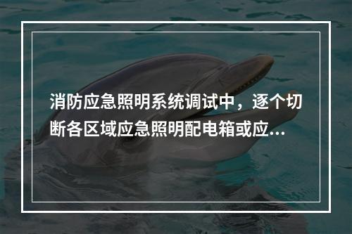 消防应急照明系统调试中，逐个切断各区域应急照明配电箱或应急照