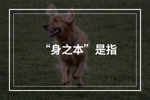 “身之本”是指