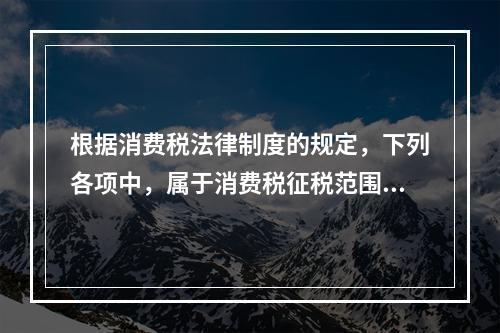 根据消费税法律制度的规定，下列各项中，属于消费税征税范围的有