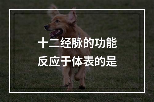 十二经脉的功能反应于体表的是