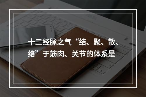 十二经脉之气“结、聚、散、络”于筋肉、关节的体系是