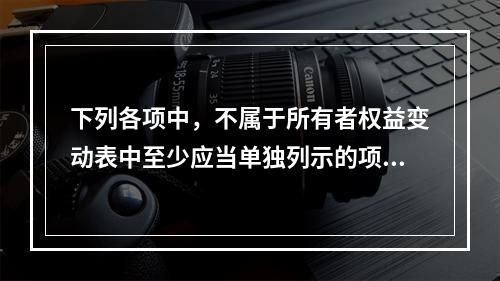 下列各项中，不属于所有者权益变动表中至少应当单独列示的项目是