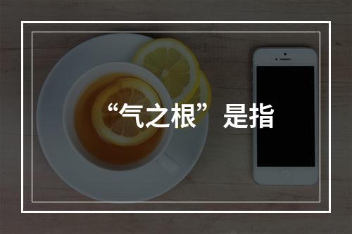 “气之根”是指