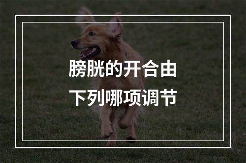 膀胱的开合由下列哪项调节