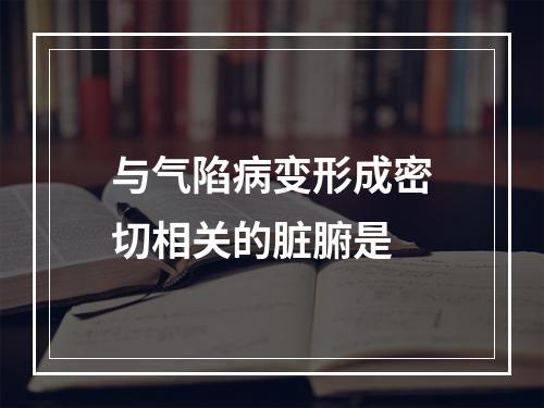 与气陷病变形成密切相关的脏腑是