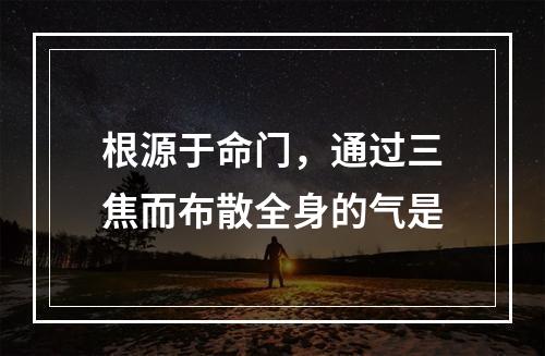 根源于命门，通过三焦而布散全身的气是