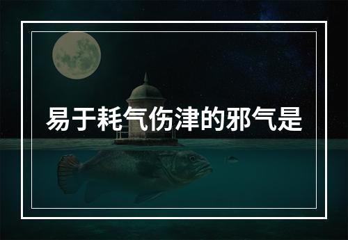 易于耗气伤津的邪气是