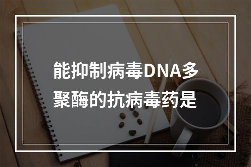 能抑制病毒DNA多聚酶的抗病毒药是