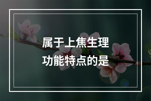 属于上焦生理功能特点的是