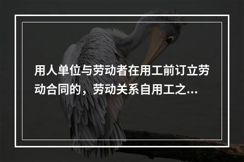 用人单位与劳动者在用工前订立劳动合同的，劳动关系自用工之日起