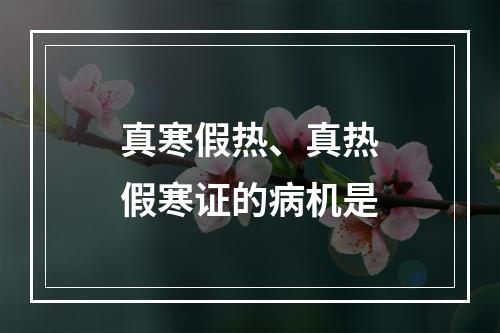 真寒假热、真热假寒证的病机是