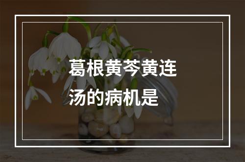 葛根黄芩黄连汤的病机是