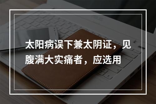 太阳病误下兼太阴证，见腹满大实痛者，应选用