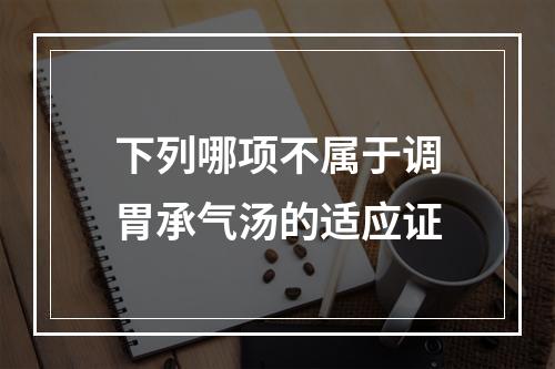 下列哪项不属于调胃承气汤的适应证