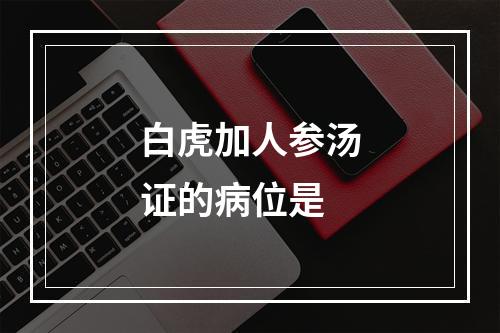 白虎加人参汤证的病位是