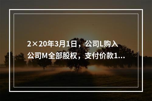 2×20年3月1日，公司L购入公司M全部股权，支付价款160