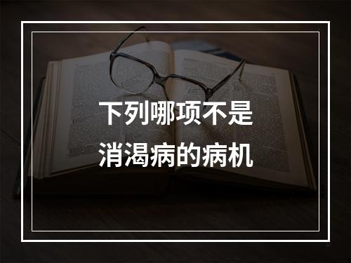 下列哪项不是消渴病的病机