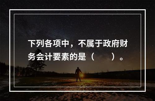 下列各项中，不属于政府财务会计要素的是（　　）。