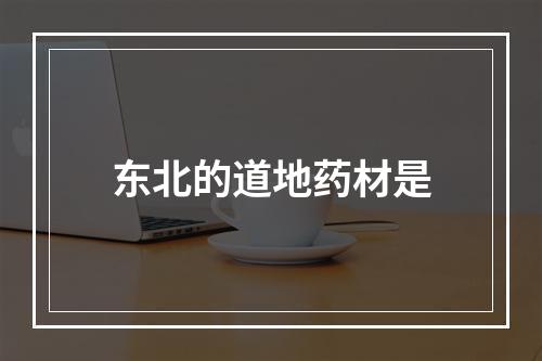 东北的道地药材是