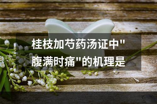 桂枝加芍药汤证中