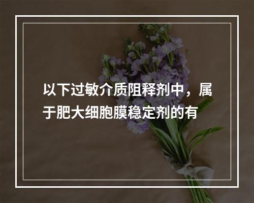 以下过敏介质阻释剂中，属于肥大细胞膜稳定剂的有