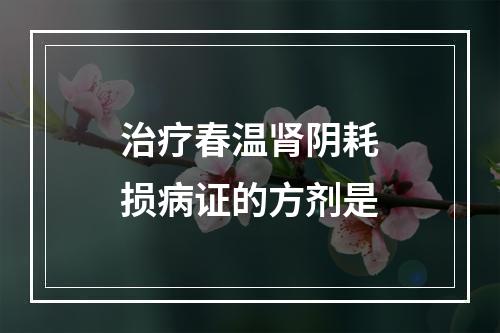 治疗春温肾阴耗损病证的方剂是