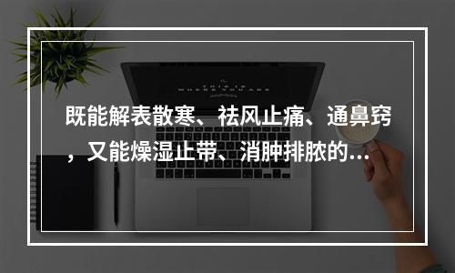 既能解表散寒、祛风止痛、通鼻窍，又能燥湿止带、消肿排脓的药物