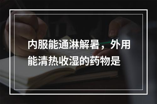 内服能通淋解暑，外用能清热收湿的药物是