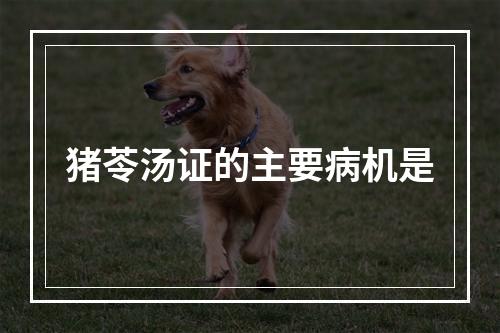 猪苓汤证的主要病机是