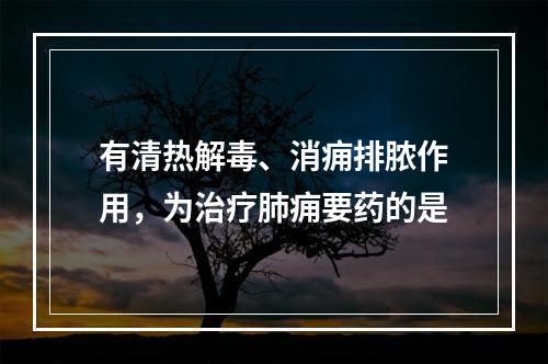 有清热解毒、消痈排脓作用，为治疗肺痈要药的是