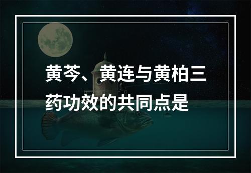 黄芩、黄连与黄柏三药功效的共同点是