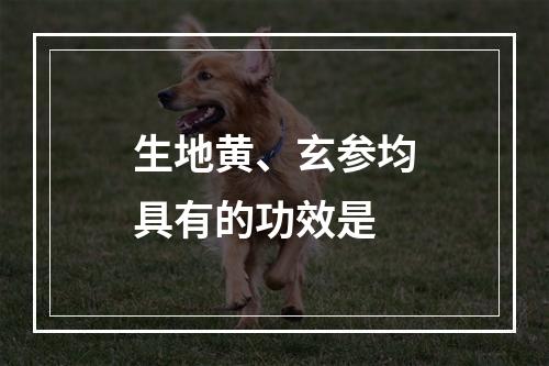 生地黄、玄参均具有的功效是