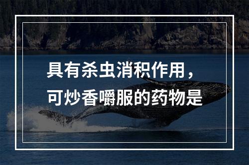 具有杀虫消积作用，可炒香嚼服的药物是