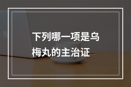 下列哪一项是乌梅丸的主治证