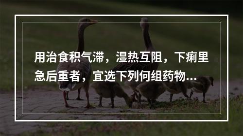 用治食积气滞，湿热互阻，下痢里急后重者，宜选下列何组药物最佳