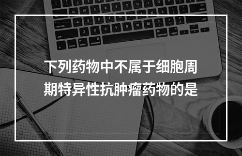 下列药物中不属于细胞周期特异性抗肿瘤药物的是