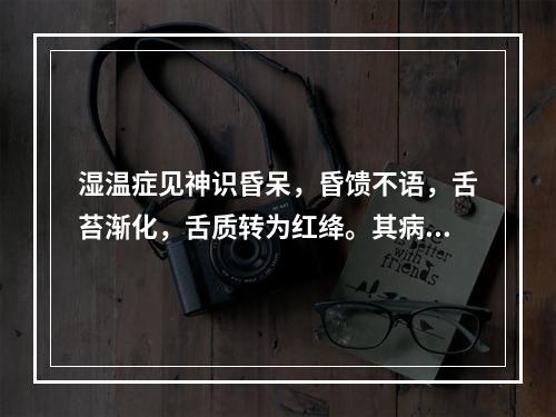 湿温症见神识昏呆，昏馈不语，舌苔渐化，舌质转为红绛。其病机为