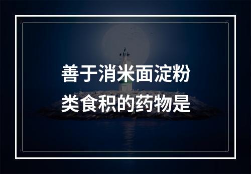 善于消米面淀粉类食积的药物是