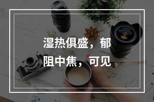 湿热俱盛，郁阻中焦，可见